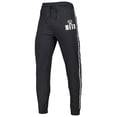 thumbnail image 2 of Men's Concepts Sport Charcoal Brooklyn Nets Team Stripe Jogger Pants, 2 of 3