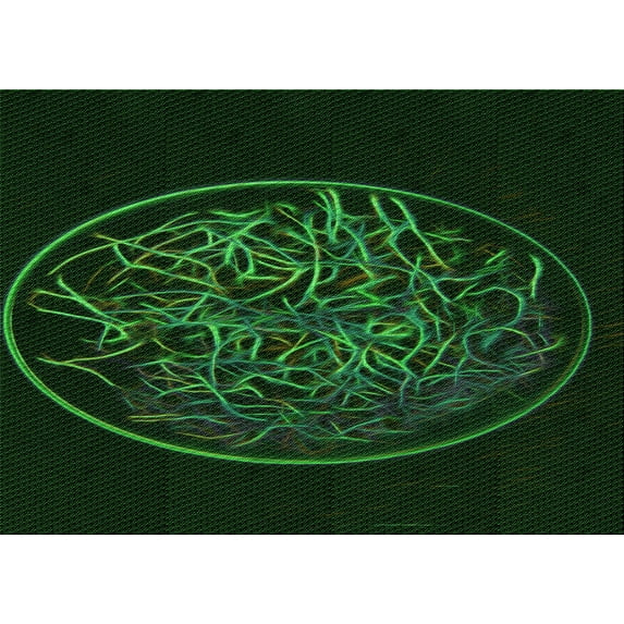 Ahgly Company Machine Washable Indoor Rectangle Transitional Green Area Rugs, 3' x 5'