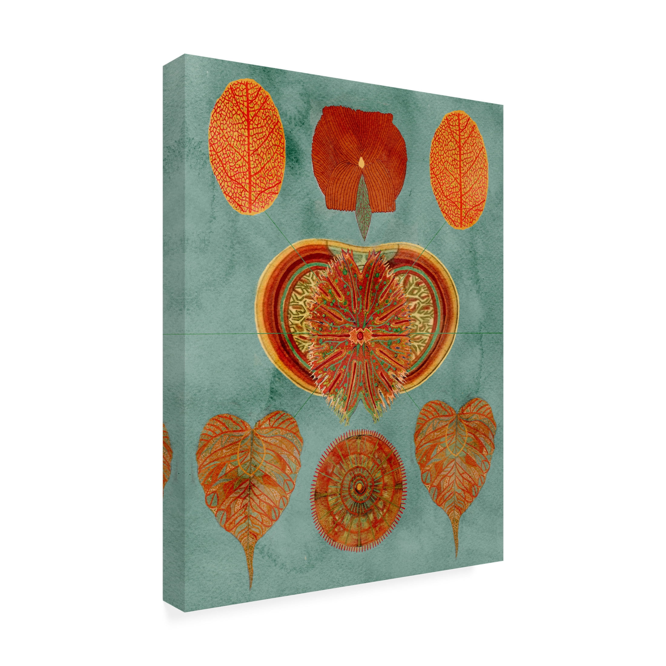 Trademark Fine Art giovanna nicolo Abstract Symmetry Canvas Wall Art