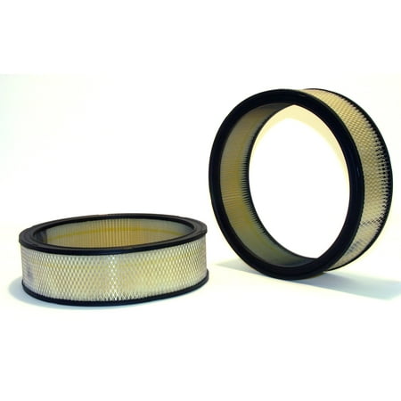 - Air Filter 42043 for Chrysler 300, Dodge Coronet, Monaco, Plymouth Satellite