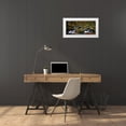 thumbnail image 3 of Maier, Norbert 32x17 White Modern Wood Framed Museum Art Print Titled - Autumn Waters, 3 of 4