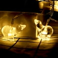 thumbnail image 3 of Polar-Bear Lights Decorative Lights 10 LED Battery Type 1.65M, 3 of 4