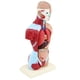 thumbnail image 2 of Estatua humana,Muñeca de anatomía del modelo de anatomía del cuerpo del torso humano,Estatua visceral esqueleto de piezas extraíbles,Modelo anatómico del torso humano Modelo de, 2 of 6