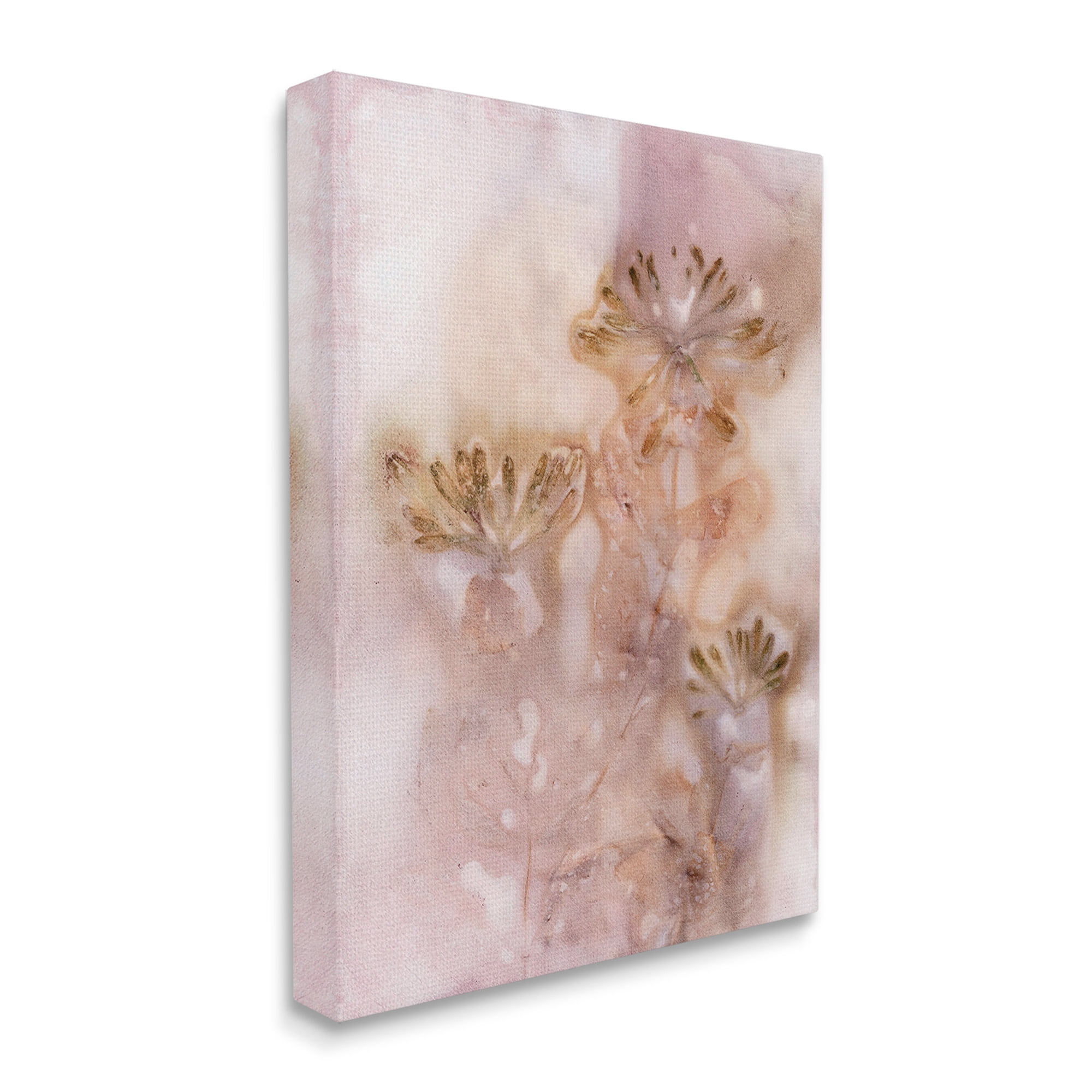 Stupell Industries Abstract Botanical Seeds Botanical & Floral Painting Gallery Wrapped Canvas Art Print Wall Art, 24 x 30