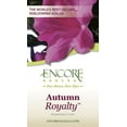 thumbnail image 6 of Encore Azalea Autumn Royalty (1 Gallon) Purple Flowering Shrub - Full Sun Live Outdoor Plant, 6 of 8