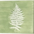 thumbnail image 2 of Great Art Now Forest Ferns by Vanna Lam 4 Piece Canvas Art Set Each 14"W x 14"H, 2 of 5