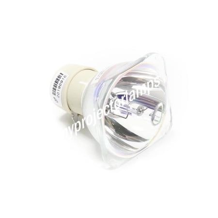 Optoma TH1060 Bare Projector Lamp price history on PriceWatchPro