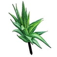 thumbnail image 5 of FUEENIRVA Outdoor Adornments Stake Acrylic Garden Decor for Outside 1Pack, 5 of 8