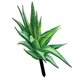 thumbnail image 5 of Estaca de jardín de aloe vera acrílica, letrero decorativo para jardín, 5 of 7