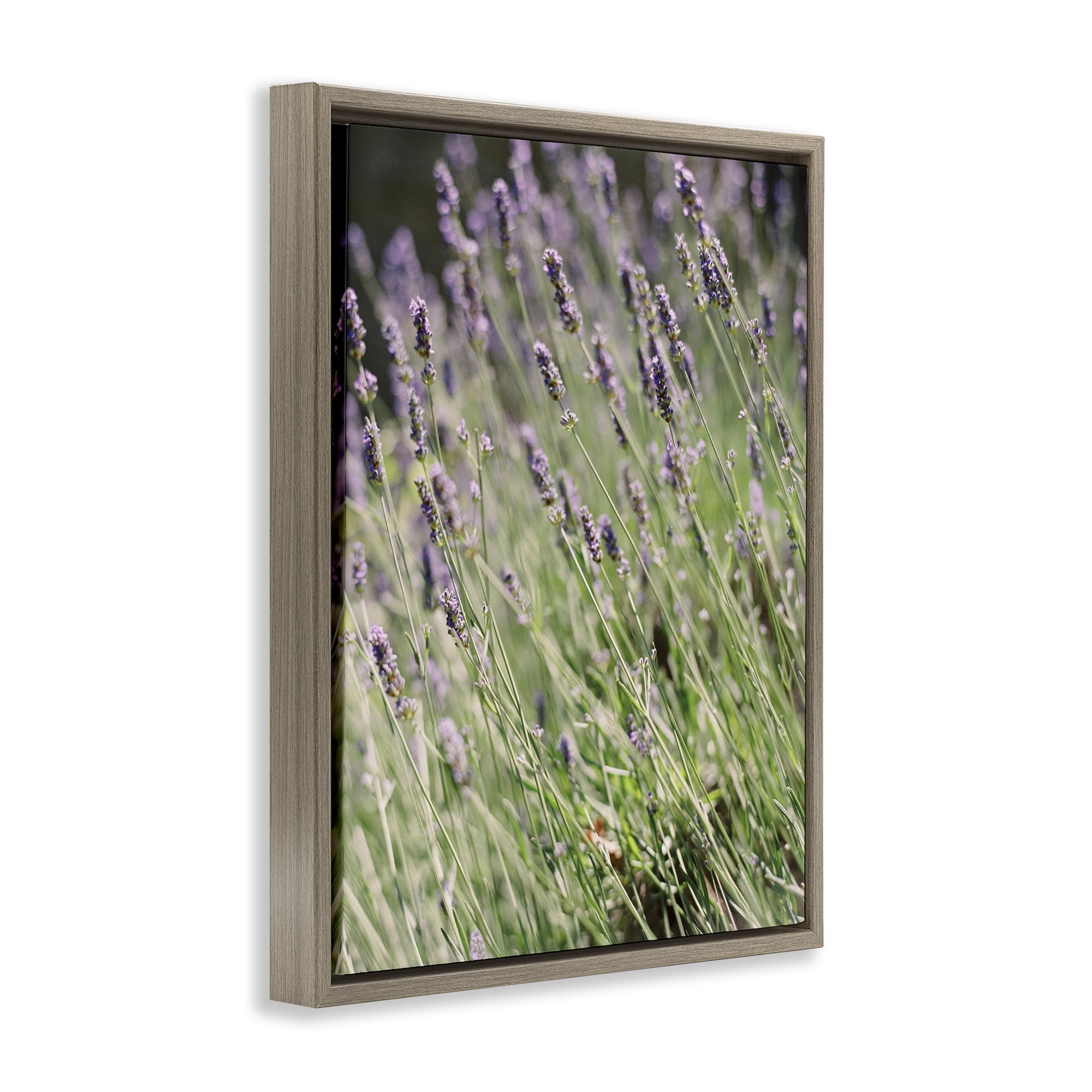 Stupell Industries Country Lilac Garden Botanical & Floral Photography Brown Floater Framed Art Print Wall Art, 17 x 21