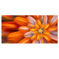 thumbnail image 1 of Designart Massive Orange Fractal Flower Canvas Wall Art, 1 of 4