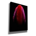 thumbnail image 2 of Cortesi Home ''Wet'' by Darren White Graphic Art on Wrapped Canvas, 2 of 5