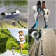 thumbnail image 5 of Correa Elastica Deportiva Para Perros Manos Libres Cangurera, 5 of 8