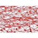 thumbnail image 2 of 3 rollos de cintas de malla decorativas con lentejuelas brillantes, tela de tul, rollo de tul, carrete de tela para hacer faldas, rojo, 5 cm (2 pulgadas), 9,144 m (10 yardas), 2 of 2