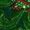 Green, variant on Inkach Womens Christmas Print Mid-Length 3/4 Sleeve O-Neck Casual Tee Tops T-Shirt