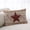 brown, variant on Texas Star Vintage Throw Pillow Covers, Brown Checkered Berry Farmhouse Soft Breathable Pillow Cases with Invisible Zipper for Sleeping, King Size Pillowcases for Couch Bed Sofa Chair 20x36 Inches