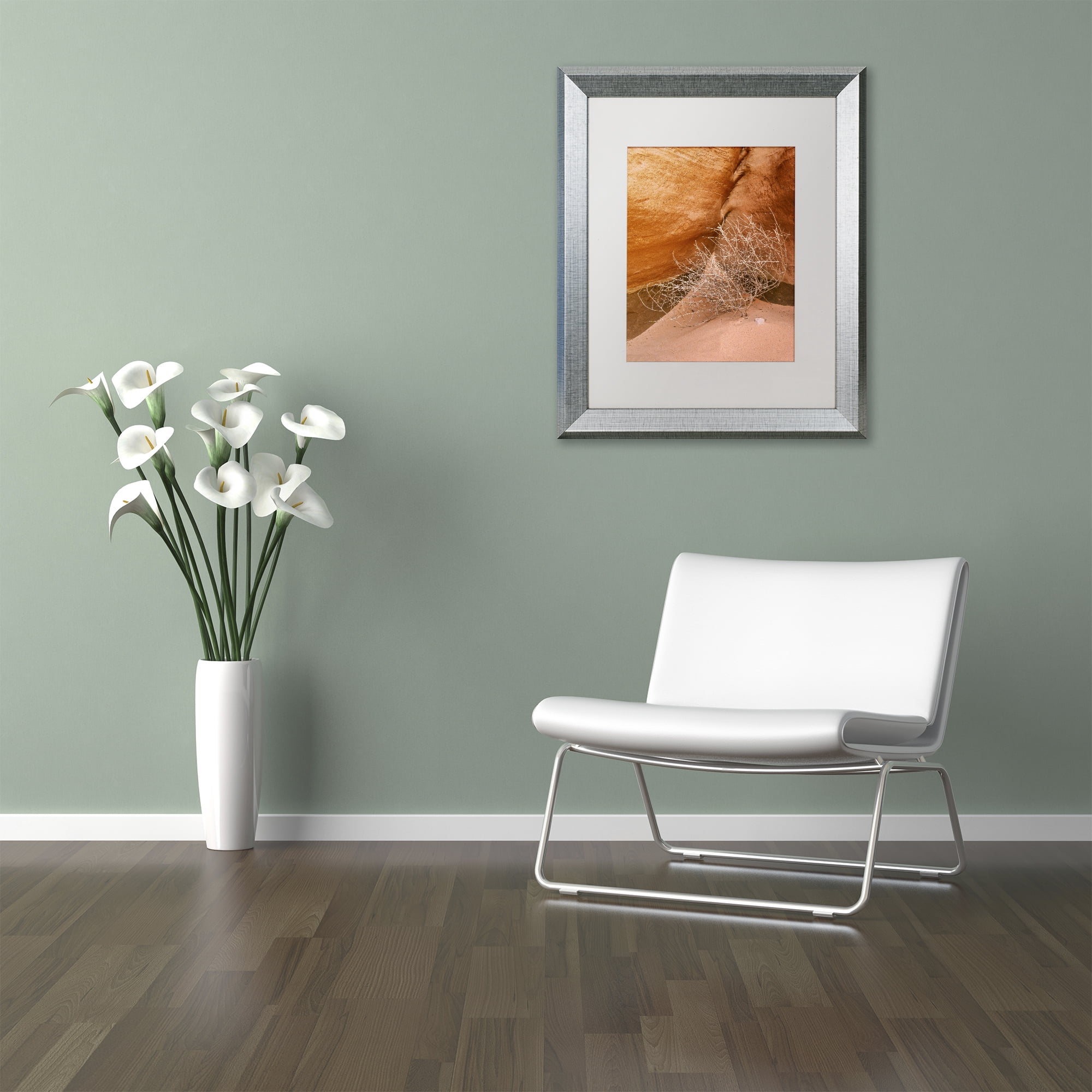 Trademark Fine Art 'Tumbleweed' Silver Framed Art by Michael Blanchette Photography