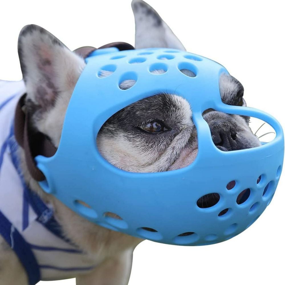 basket muzzle for shih tzu