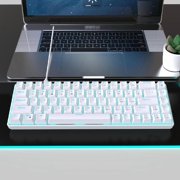 68Keys Mechanical Keyboard Double Shot Hot-Swappable Clicky Switches Backlits