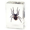 Ed Speldy East PW114 Small Paperweight - Spider