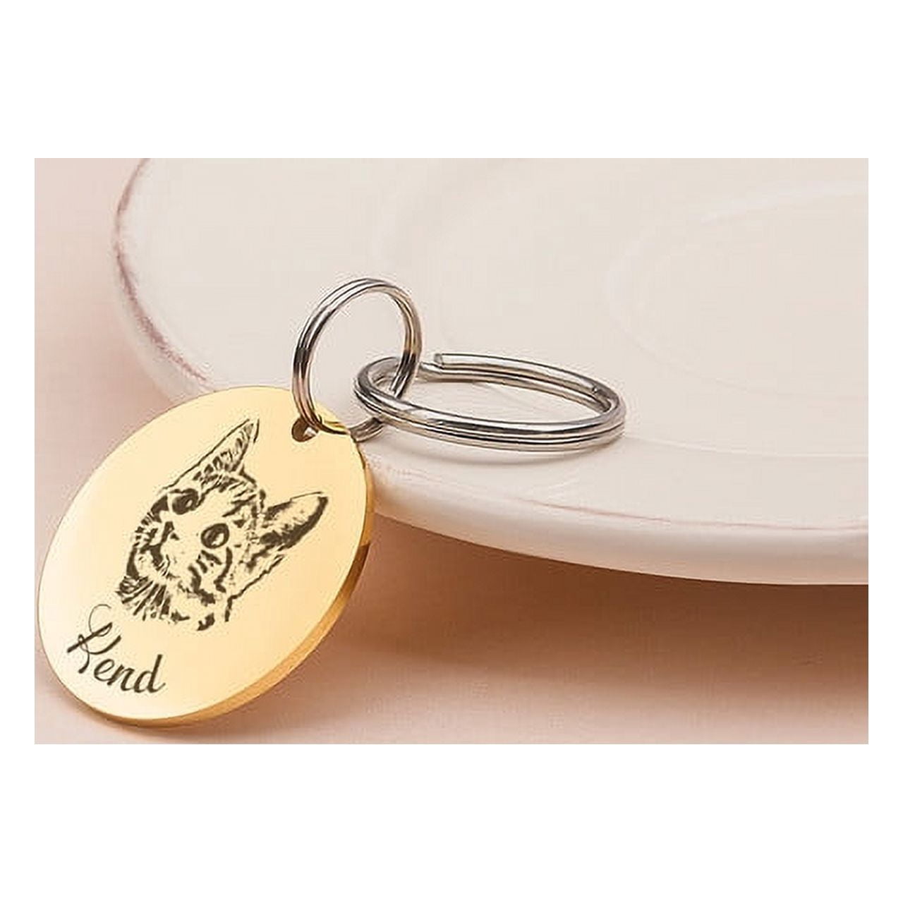 Anavia Stainless Steel Double Sided Round Name and Pet Portrait Engraved Dog & Cat ID Tag, Multi-color, L
