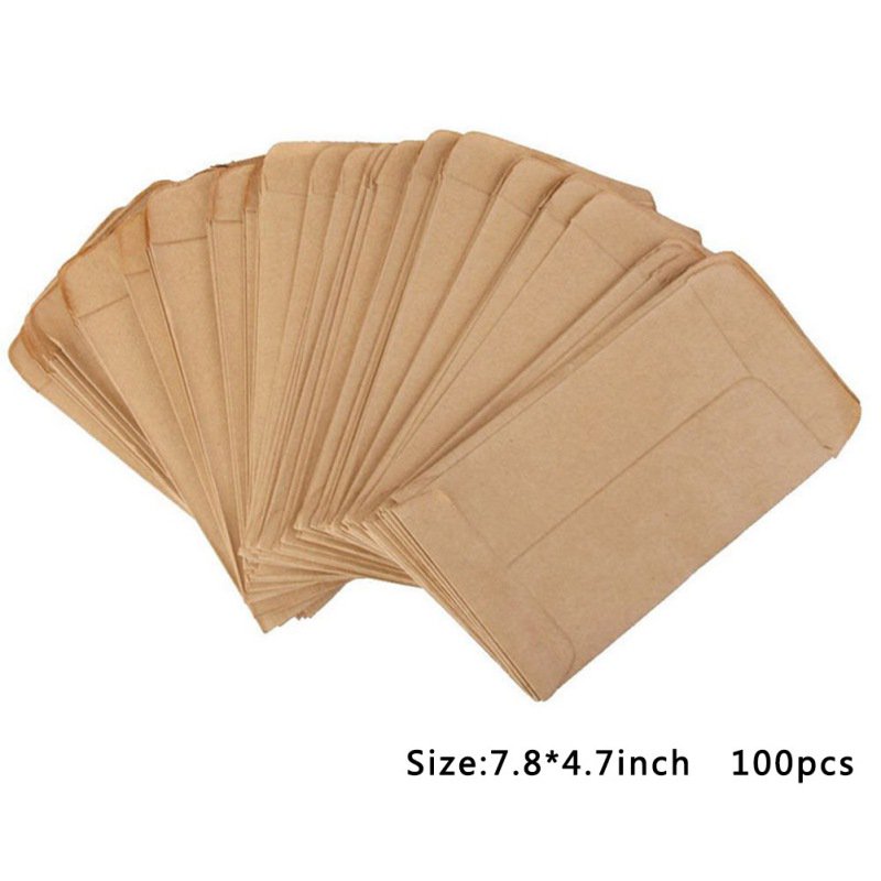 100Pcs Vintage Seed Envelopes Blank Kraft Paper Brown Seed Bags Seed
