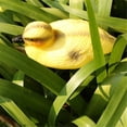 thumbnail image 3 of 5'' Floating Baby Duck Hunting Duck Garden Hunting Yellow, 3 of 8