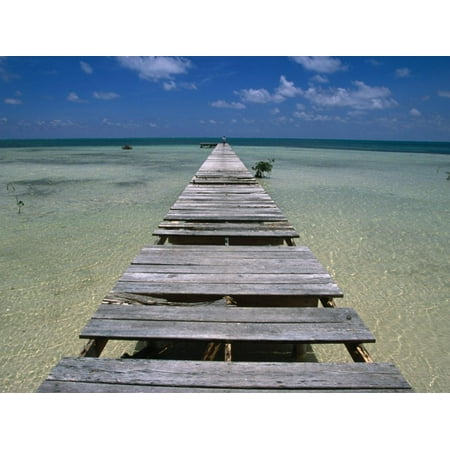 Wooden Pier with Broken Planks, Ambergris Caye, Belize Print Wall Art By Doug