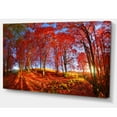thumbnail image 2 of Red Autumn Forest in Carpathians, 2 of 3