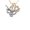 C, variant on Longhorn - Texas - M - Gold Tone Crystal Initial Sophia Necklace, 18"+1"