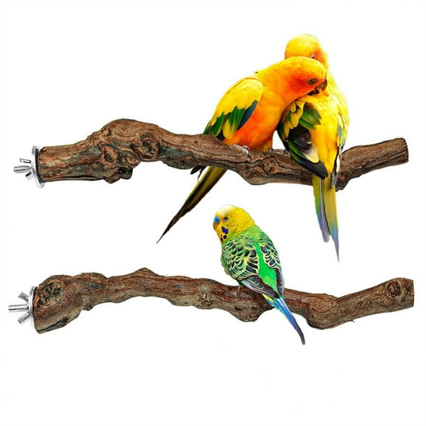 Natural parrot cheap stand