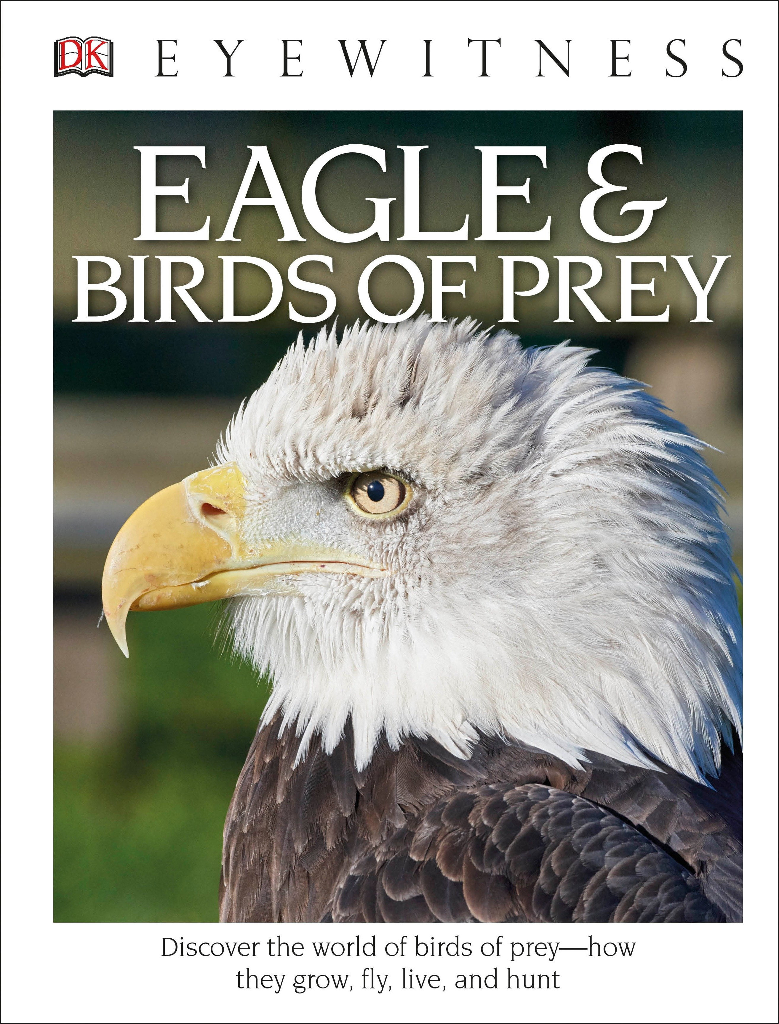DK Eyewitness DK Eyewitness Books Eagle and Birds of Prey Discover the World of Birds of