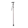 thumbnail image 1 of Bâton de Marche Pliant en Alliage d'Aluminium Bâton de Marche portable Bâton de Randonnée Randonnée Antidérapant Bâton de Marche Réglable à 4 Sections avec Poignée Confortable, 1 of 8