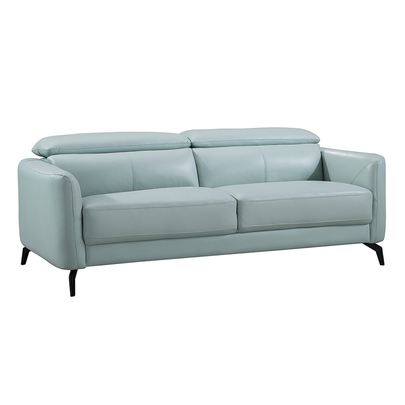 Light Teal Color, Light Leather Couch