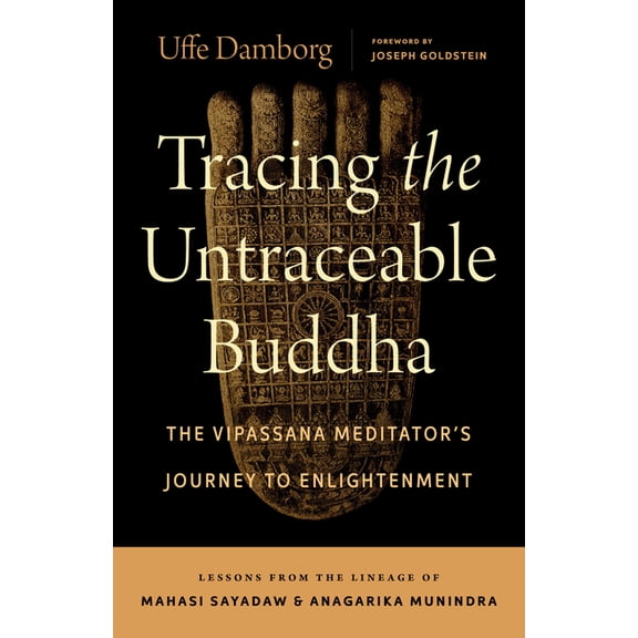 Tracing the Untraceable Buddha: The Vipassana Meditator's Journey to Enlightenment, (Paperback)