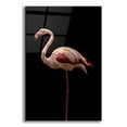 thumbnail image 1 of Epic Art 'Flamingo' by Incado, Acrylic Glass Wall Art, 16"x24", 1 of 8