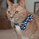 thumbnail image 5 of Corbata patriótica para collar de perro/gato | Gato y perro divertidos lindos, cómodos y duraderos MFZFUKR CPB-US-YY333, 5 of 5