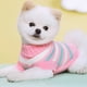 thumbnail image 2 of Ropa para mascotas Ropa para gatos de punto de lana multicolor Suéter casual para mascotas con solapa multicolor de dos patas Ropa de lujo para perros Ropa para mascotas, 2 of 5