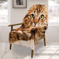 thumbnail image 2 of Safdie & Co. Jeté Tricoté Imprimé Chaton Tigré, 2 of 2