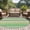 Grass Green Lemon Green, variant on Round Area Rug 8 Ft, Teal Black Boho Washable Non-Slip Circle Carpet for Living Room/Bedroom, Vintage Ethnic Tribe Abstract Art Collection Low-Profile Large Area Rugs for Indoor