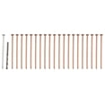 thumbnail image 5 of 15/20/25Pcs 4Inch Copper Nails For Killing Trees Stump Root Tree Killer Nails Stump Roots Removal Long Nail Spikes Hardware Tree 25Pcs, 5 of 9