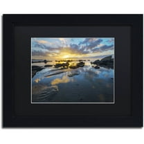 Trademark Fine Art "Nature's Gift" Canvas Art by Mathieu Rivrin, Black Matte, Black Frame