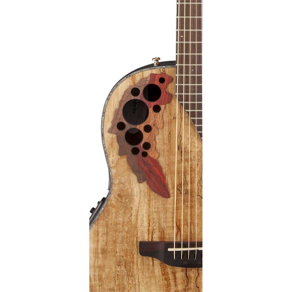 Ovation Celebrity Elite Acoustic Electric Guitar - Spalted Maple - CE44P-SM