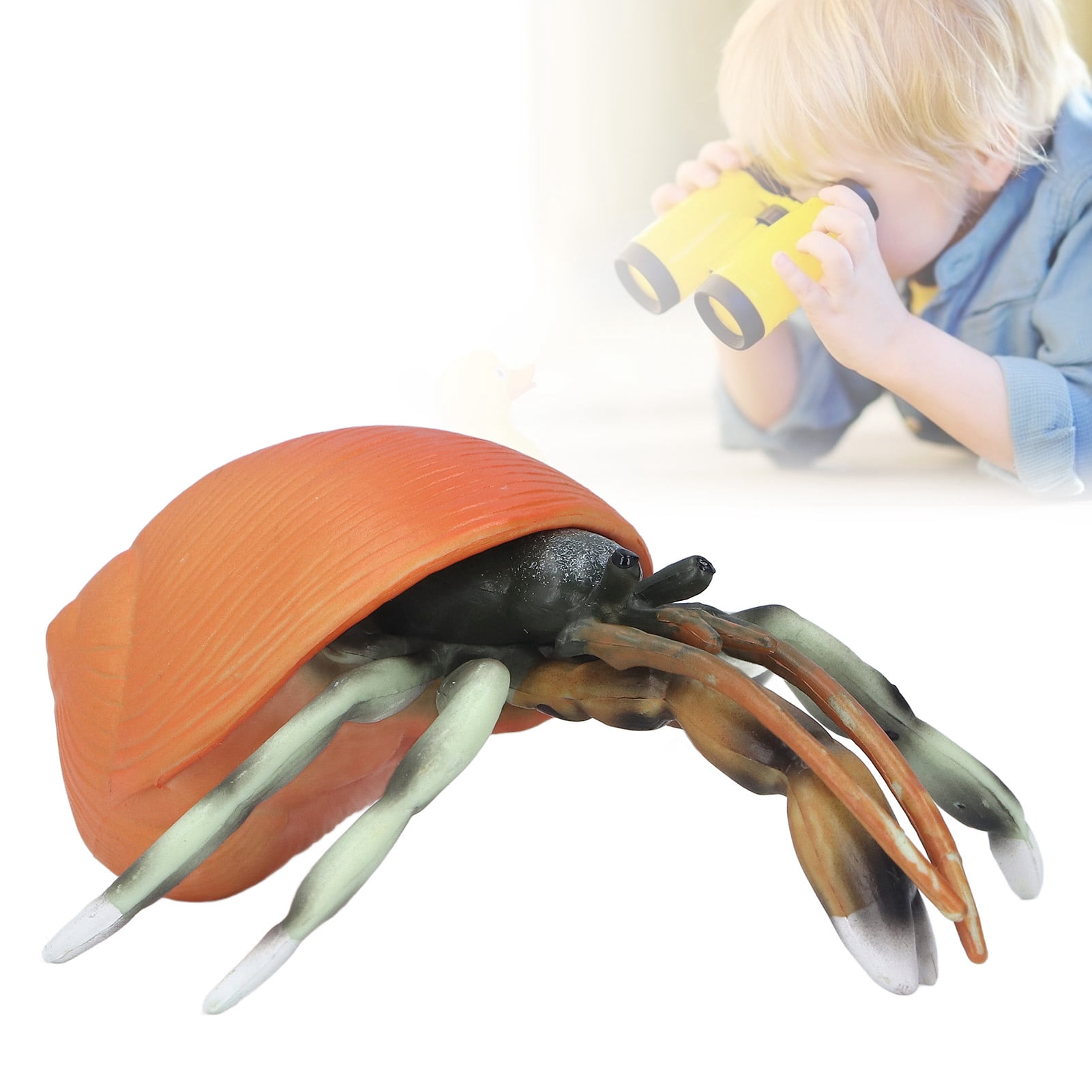 FLAMEEN Simulation Hermit Crab Toy,Sea Life Animals Figurines,Simulation Hermit  Crab Model Lifelike Sea Life Animals Figurines For Collection Science  Educational | Walmart Canada