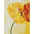 thumbnail image 3 of Frederiks, Beatrix 15x18 Black Modern Framed Museum Art Print Titled - Dancing Tulips I, 3 of 5