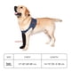 thumbnail image 5 of Calcetas impermeables antideslizantes para patas de perro Coodeo 3XL, 5 of 8