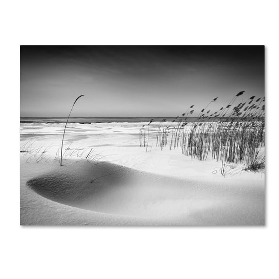 Trademark Fine Art 'Orchestra' Canvas Art by Reinis Cirulis