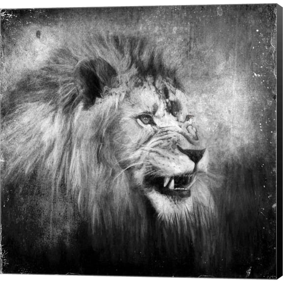 Snarling In Black And White by Jai Johnson, Canvas Wall Art