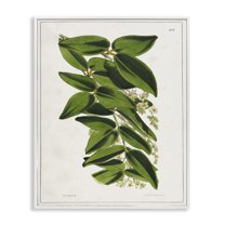 Stupell Industries Stacked Leaves Botanical Plants & Flowers Painting White Framed Art Print Wall Art, 11 x 14