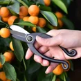 thumbnail image 5 of High Carbon Steel Garden Pruning Shears Profissional Root Cutter Bonsai Cutter Gardening Pruning Bonsai Scissors Grafting Tool, 5 of 9